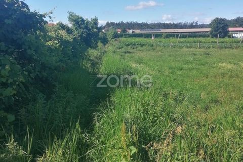 Helårsgrund i Braga, Braga, Braga - € 55.000 | Ref: ZMPT564744 - foto 12