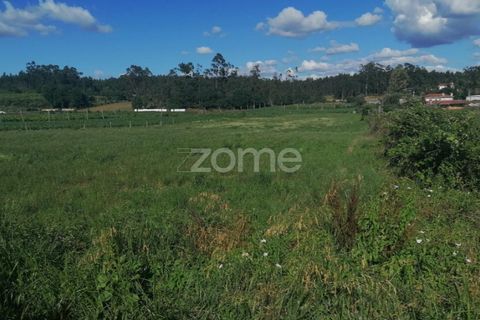 Helårsgrund i Braga, Braga, Braga - € 55.000 | Ref: ZMPT564744 - foto 13