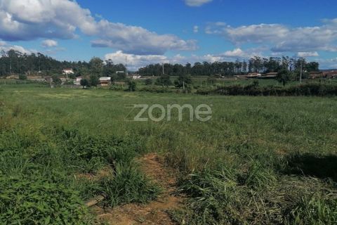 Helårsgrund i Braga, Braga, Braga - € 55.000 | Ref: ZMPT564744 - foto 14