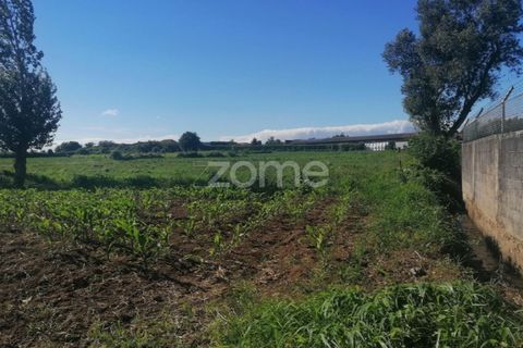 Helårsgrund i Braga, Braga, Braga - € 55.000 | Ref: ZMPT564744 - foto 15