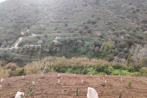 Helårsgrund i Torrox, Malaga, Torrox - € 73.000 | Ref: TP131 - foto 1