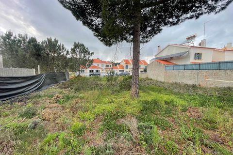 Helårsgrund i Santo Andre, Setubal, Santo Andre - € 300.000 | Ref: 2024005 - foto 6