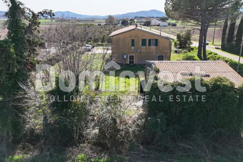 Landejendom i Manciano, Grosseto, Manciano - € 370.000 | Ref: V-0040 - foto 6