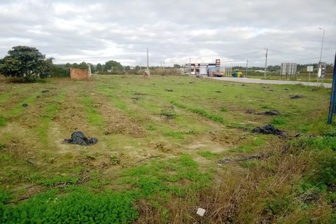 Helårsgrund i Santo Onofre e Serra do Bouro, Leiria, Santo Onofre e Serra do Bouro - € 1.300.000 | Ref: 233WCP - foto 4