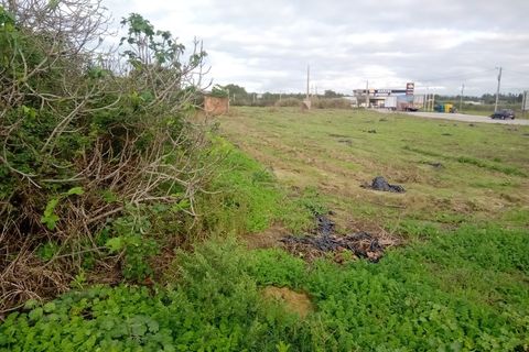 Helårsgrund i Santo Onofre e Serra do Bouro, Leiria, Santo Onofre e Serra do Bouro - € 1.300.000 | Ref: 233WCP - foto 5
