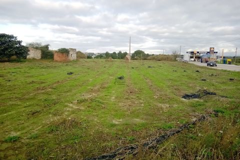 Helårsgrund i Santo Onofre e Serra do Bouro, Leiria, Santo Onofre e Serra do Bouro - € 1.300.000 | Ref: 233WCP - foto 6