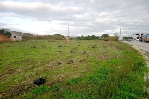 Helårsgrund i Santo Onofre e Serra do Bouro, Leiria, Santo Onofre e Serra do Bouro - € 1.300.000 | Ref: 233WCP - foto 7