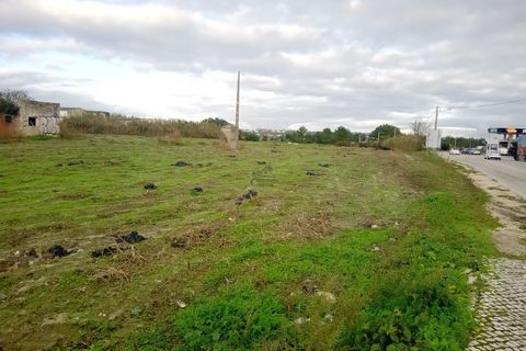 Helårsgrund i Santo Onofre e Serra do Bouro, Leiria, Santo Onofre e Serra do Bouro - € 1.300.000 | Ref: 233WCP - foto 8
