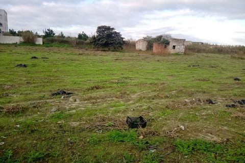Helårsgrund i Santo Onofre e Serra do Bouro, Leiria, Santo Onofre e Serra do Bouro - € 1.300.000 | Ref: 233WCP - foto 9