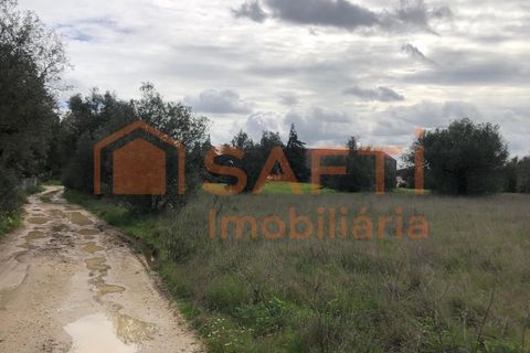 Terra a Alcanena, Santarem, Alcanena - € 20.000 | Ref: SAFTI:008252 - foto 2