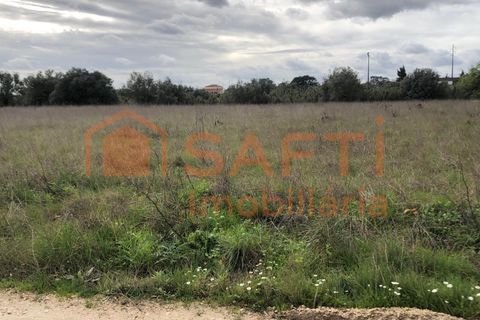 Terra a Alcanena, Santarem, Alcanena - € 20.000 | Ref: SAFTI:008252 - foto 3