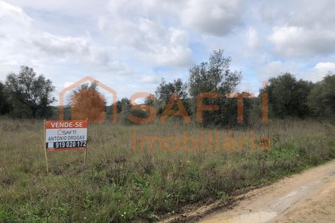 Terra a Alcanena, Santarem, Alcanena - € 20.000 | Ref: SAFTI:008252 - foto 4