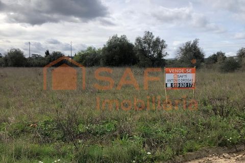 Terra a Alcanena, Santarem, Alcanena - € 20.000 | Ref: SAFTI:008252 - foto 5