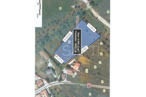 Terra a Alcanena, Santarem, Alcanena - € 20.000 | Ref: SAFTI:008252 - foto 6