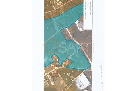 Terra a Alcanena, Santarem, Alcanena - € 20.000 | Ref: SAFTI:008252 - foto 7