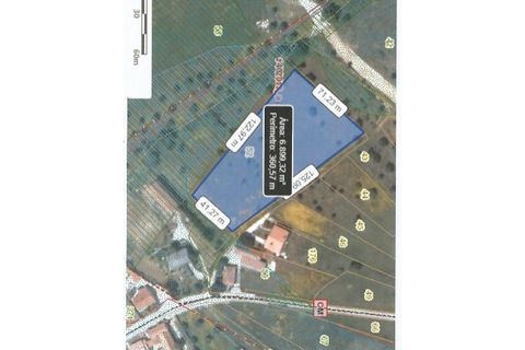 Terra a Alcanena, Santarem, Alcanena - € 20.000 | Ref: SAFTI:008252 - foto 8