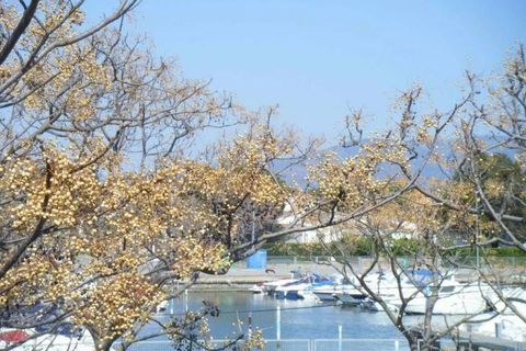 Villa a Empuriabrava, Gerona, Empuriabrava - € 795.000 | Ref: 111202 - foto 31