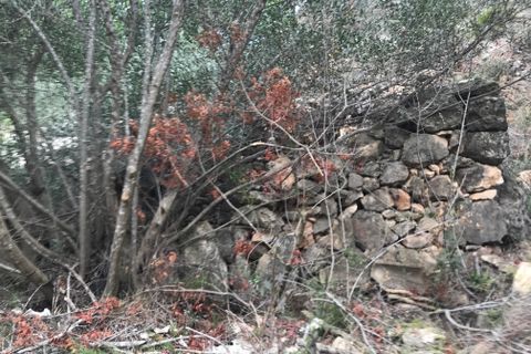 Finca i Benifallet, Tarragona, Benifallet - € 8 000 | Ref: Tw - foto 8