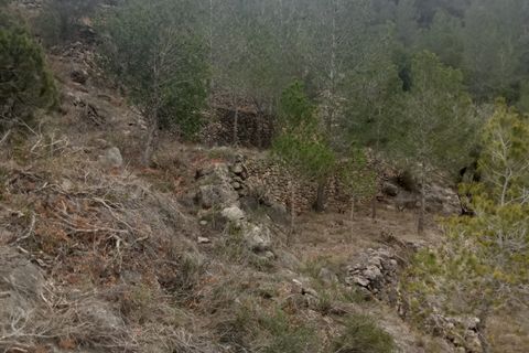 Finca i Benifallet, Tarragona, Benifallet - € 8 000 | Ref: Tw - foto 6
