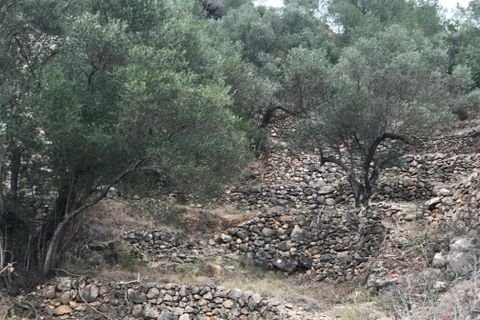 Finca i Benifallet, Tarragona, Benifallet - € 8 000 | Ref: Tw - foto 15