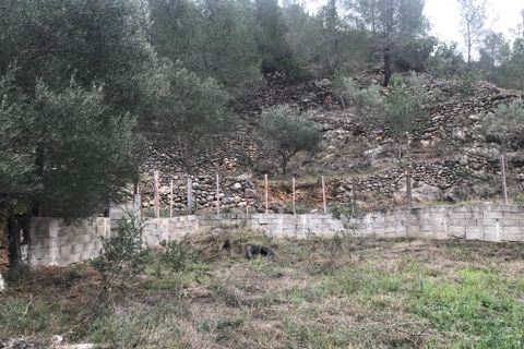 Finca i Benifallet, Tarragona, Benifallet - € 8 000 | Ref: Tw - foto 16