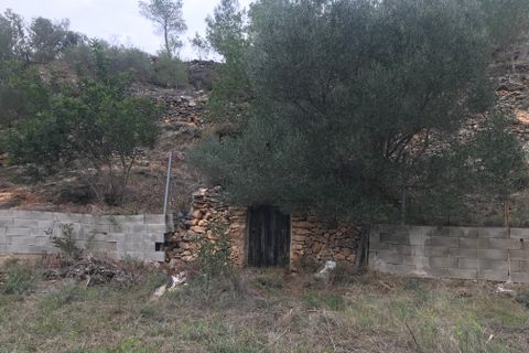 Finca i Benifallet, Tarragona, Benifallet - € 8 000 | Ref: Tw - foto 13