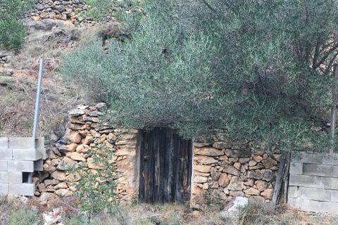 Finca i Benifallet, Tarragona, Benifallet - € 8 000 | Ref: Tw - foto 12