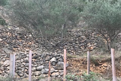 Finca i Benifallet, Tarragona, Benifallet - € 8 000 | Ref: Tw - foto 17