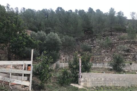 Finca i Benifallet, Tarragona, Benifallet - € 8 000 | Ref: Tw - foto 9