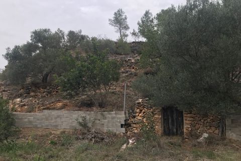 Finca i Benifallet, Tarragona, Benifallet - € 8 000 | Ref: Tw - foto 11