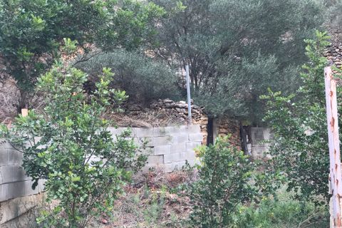 Finca i Benifallet, Tarragona, Benifallet - € 8 000 | Ref: Tw - foto 7