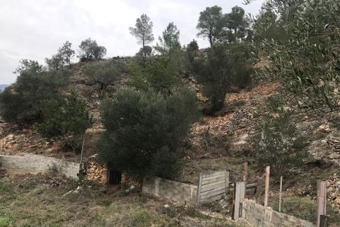 Finca i Benifallet, Tarragona, Benifallet - € 8 000 | Ref: Tw - foto 19