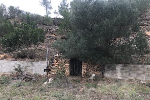 Finca i Benifallet, Tarragona, Benifallet - € 8 000 | Ref: Tw - foto 14