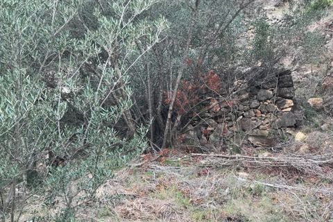 Finca i Benifallet, Tarragona, Benifallet - € 8 000 | Ref: Tw - foto 18