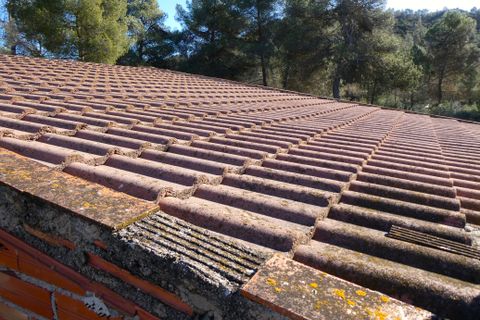 Finca a Caseres, Tarragona, Caseres - € 21.500 | Ref: 0991 - foto 12