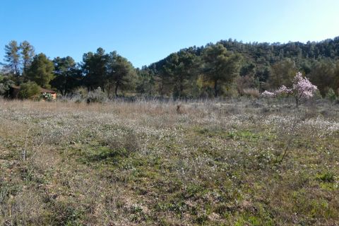 Finca a Caseres, Tarragona, Caseres - € 21.500 | Ref: 0991 - foto 15