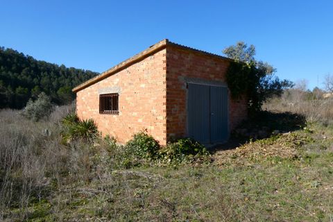 Finca a Caseres, Tarragona, Caseres - € 21.500 | Ref: 0991 - foto 4