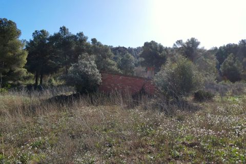 Finca a Caseres, Tarragona, Caseres - € 21.500 | Ref: 0991 - foto 11