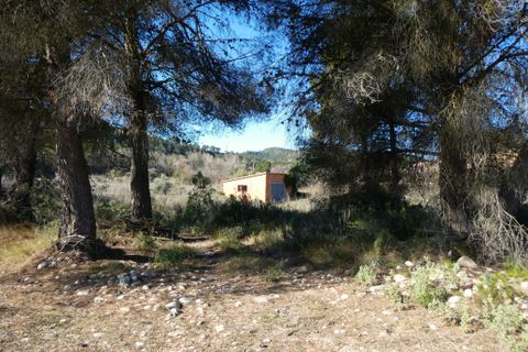 Finca a Caseres, Tarragona, Caseres - € 21.500 | Ref: 0991 - foto 3