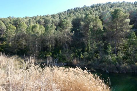 Finca a Caseres, Tarragona, Caseres - € 21.500 | Ref: 0991 - foto 22