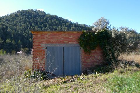 Finca a Caseres, Tarragona, Caseres - € 21.500 | Ref: 0991 - foto 1