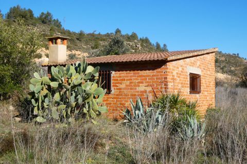 Finca a Caseres, Tarragona, Caseres - € 21.500 | Ref: 0991 - foto 10