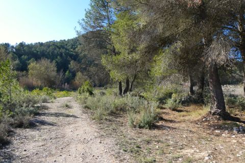 Finca a Caseres, Tarragona, Caseres - € 21.500 | Ref: 0991 - foto 2