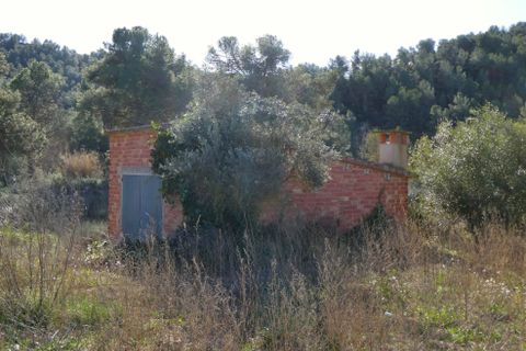 Finca a Caseres, Tarragona, Caseres - € 21.500 | Ref: 0991 - foto 13