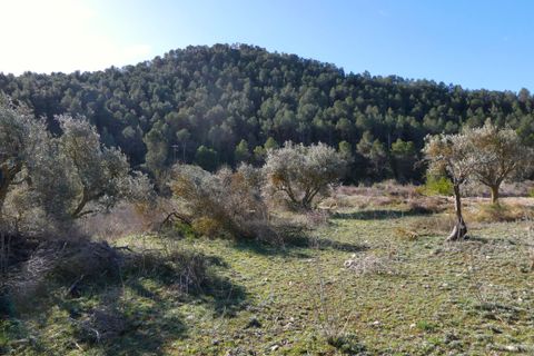 Finca a Caseres, Tarragona, Caseres - € 21.500 | Ref: 0991 - foto 18