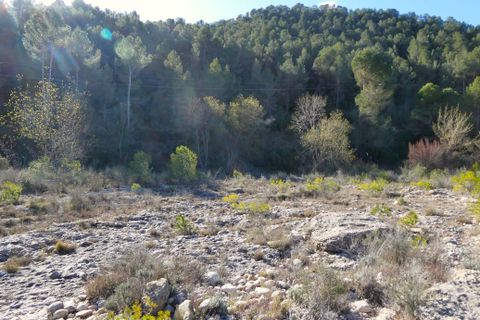 Finca a Caseres, Tarragona, Caseres - € 21.500 | Ref: 0991 - foto 21