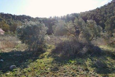 Finca a Caseres, Tarragona, Caseres - € 21.500 | Ref: 0991 - foto 19