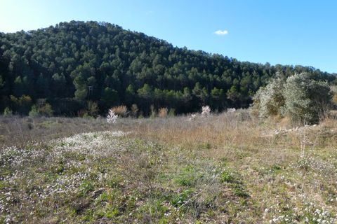 Finca a Caseres, Tarragona, Caseres - € 21.500 | Ref: 0991 - foto 16