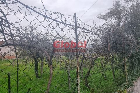 Helårsgrund i Viseu, Viseu, Viseu - € 62.000 | Ref: 189242075 - foto 2