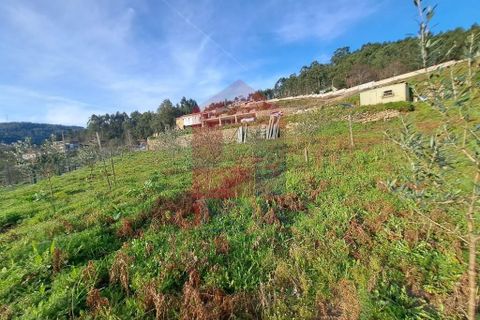 Byhus i Vila Verde, Braga, Vila Verde - € 400.000 | Ref: 08271 - foto 20